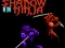 Spel Shadow of the Ninja på nätet