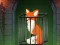 Spel Fox in the Forgotten Ruins på nätet