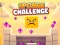 Spel Sponge Challenge på nätet