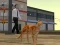 Spel Cat City Simulator på nätet