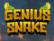 Spel Genius Snake på nätet