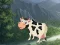 Spel Cow Reach the Shed på nätet