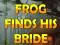 Spel Frog Finds His Bride på nätet