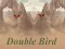 Spel Double Bird på nätet