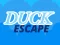 Spel Duck Escape på nätet