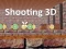Spel Shooting 3D på nätet
