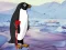 Spel Heal the Wounded Penguin på nätet