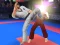 Spel Karate Fighter på nätet