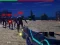Spel Zombie Survivor på nätet