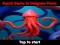 Spel Squid Game In Dalgona Panic på nätet
