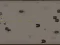 Spel Cyborg Ii på nätet
