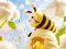 Spel Find The Differences: Little Bee's Adventure på nätet