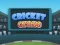 Spel Cricket Craze på nätet