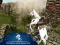 Spel Ertugrul Gazi Horse Sim på nätet