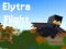 Spel Elytra Flight på nätet