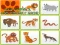 Spel Wild Animals Kids Memory game på nätet