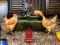 Spel Poultry Farm Easter Escape på nätet