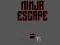 Spel Ninja escape på nätet