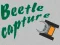 Spel Beetle Capture på nätet