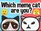 Spel Which Meme Cat Are You? på nätet