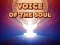 Spel Voice Of The Soul på nätet