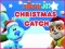 Spel Nick Jr. Christmas Catch på nätet