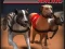Spel Greyhound Racing på nätet