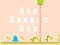 Spel Run Rabbit Run på nätet