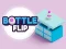 Spel Bottle Flip på nätet