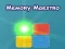 Spel Memory Maestro på nätet