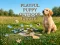 Spel Playful Puppy Outdoor Puzzle på nätet