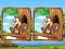 Spel Jungle 5 Diffs på nätet