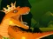Spel The Dino King på nätet