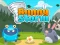 Spel Bunny Storm på nätet