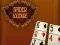Spel Spider Solitaire på nätet