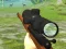 Spel Hunter 3D på nätet