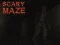 Spel Scary Maze på nätet