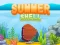Spel Summer Shell på nätet