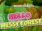 Spel Hidden Objects Hello Messy Forest på nätet