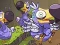 Spel Save The Dodos på nätet