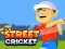 Spel Street Cricket på nätet