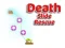 Spel Death Slide Rescue på nätet