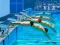 Spel Swimming Pool Race på nätet