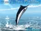 Spel Azure Sea Fishing på nätet