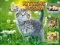Spel Kittens Jigsaw på nätet