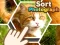 Spel Sort Photograph på nätet