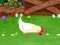 Spel Stupid Chicken på nätet
