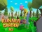 Spel Runner Garden 3d på nätet