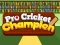 Spel Pro Cricket Champion på nätet