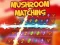 Spel Mushroom matching på nätet